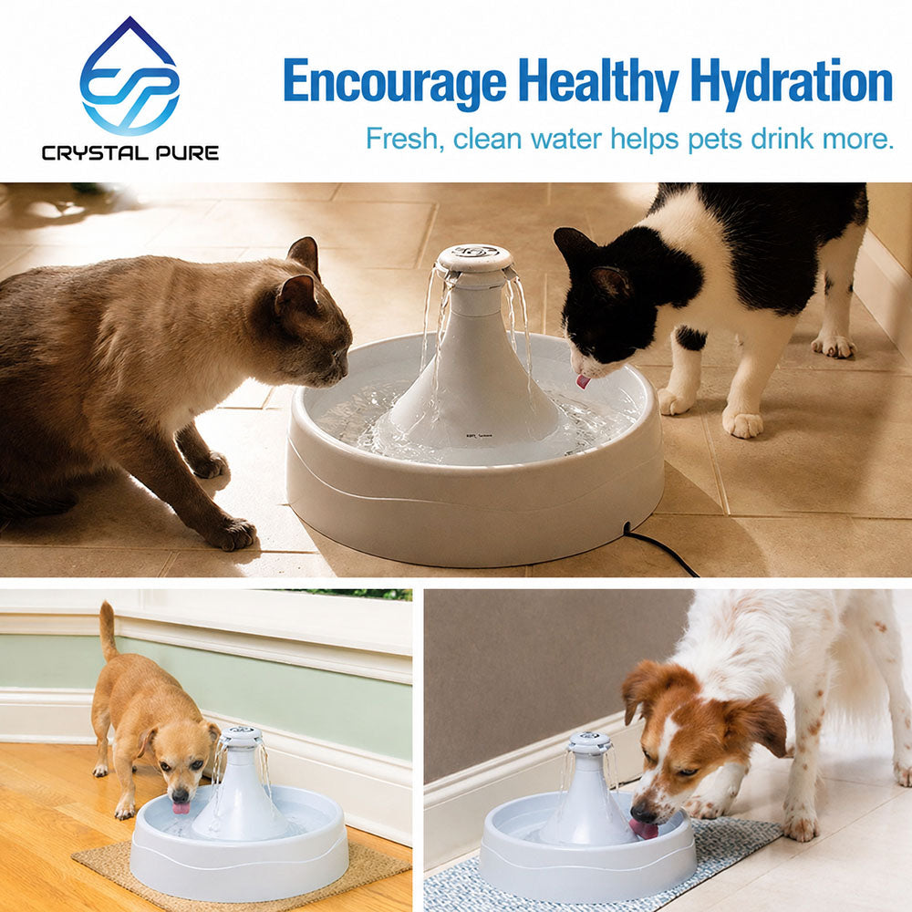 Replacement Charcoal Filters for PetSafe Water Fountain PAC19-14088